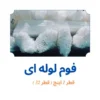 فوم پلی اتیلن 1 اینچ لوله ای ( قطر 32 میلی متر )